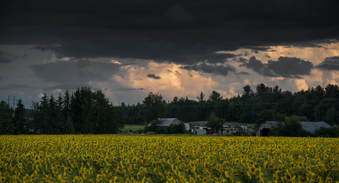 (SF) Galetta Side Rd