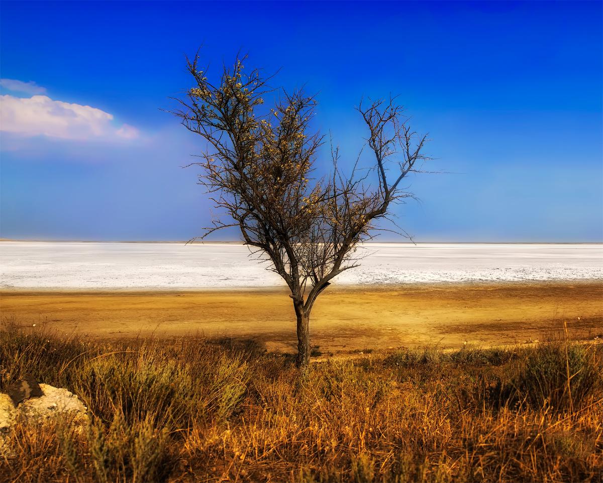 Море, Соль и Жара