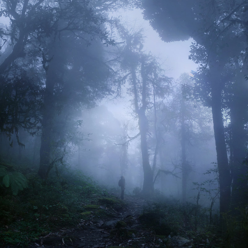 по следам ежика