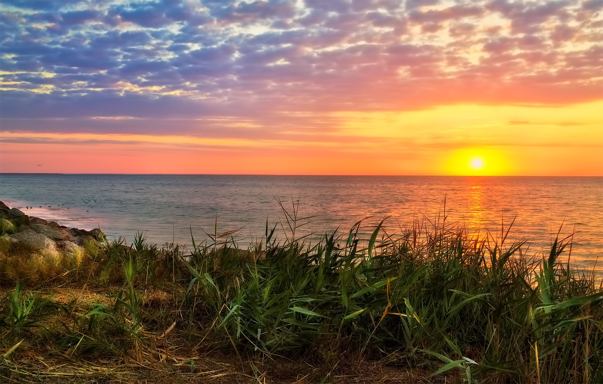 Доброе утро