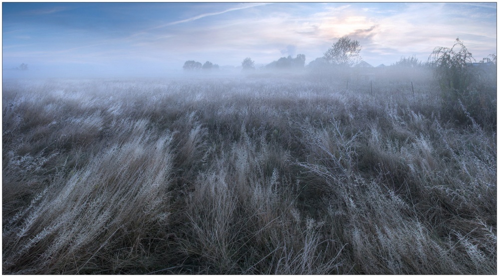 По течению травы...