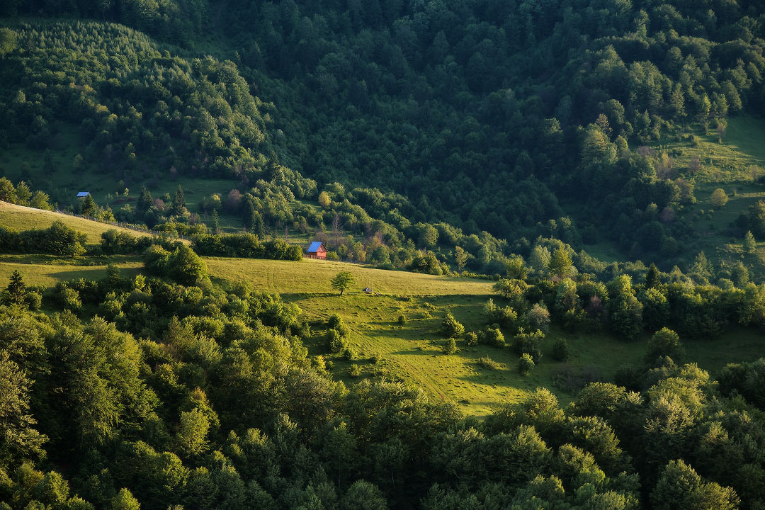 Июньским вечером.