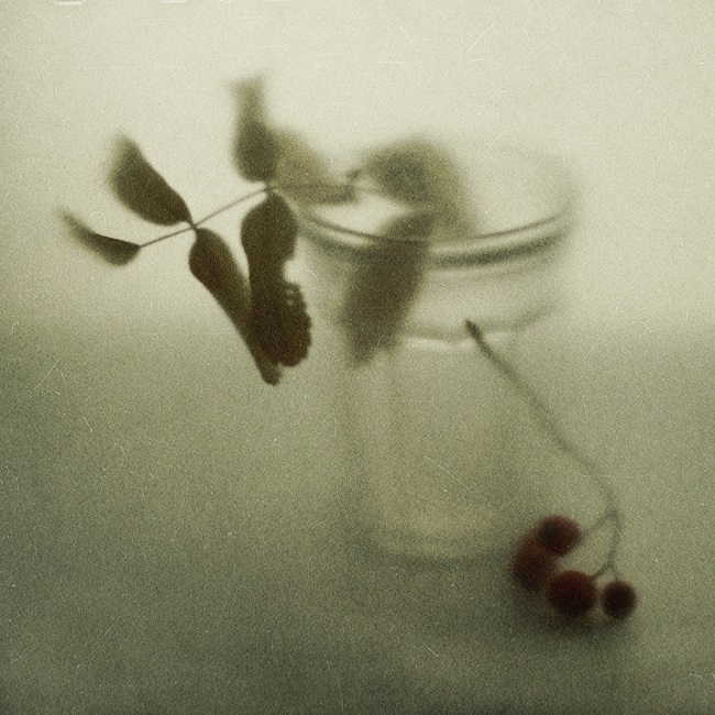 С рябиной....