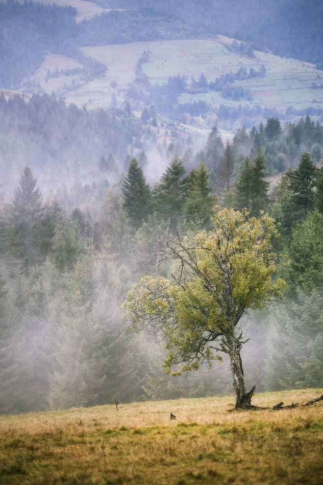 Про сентябрь