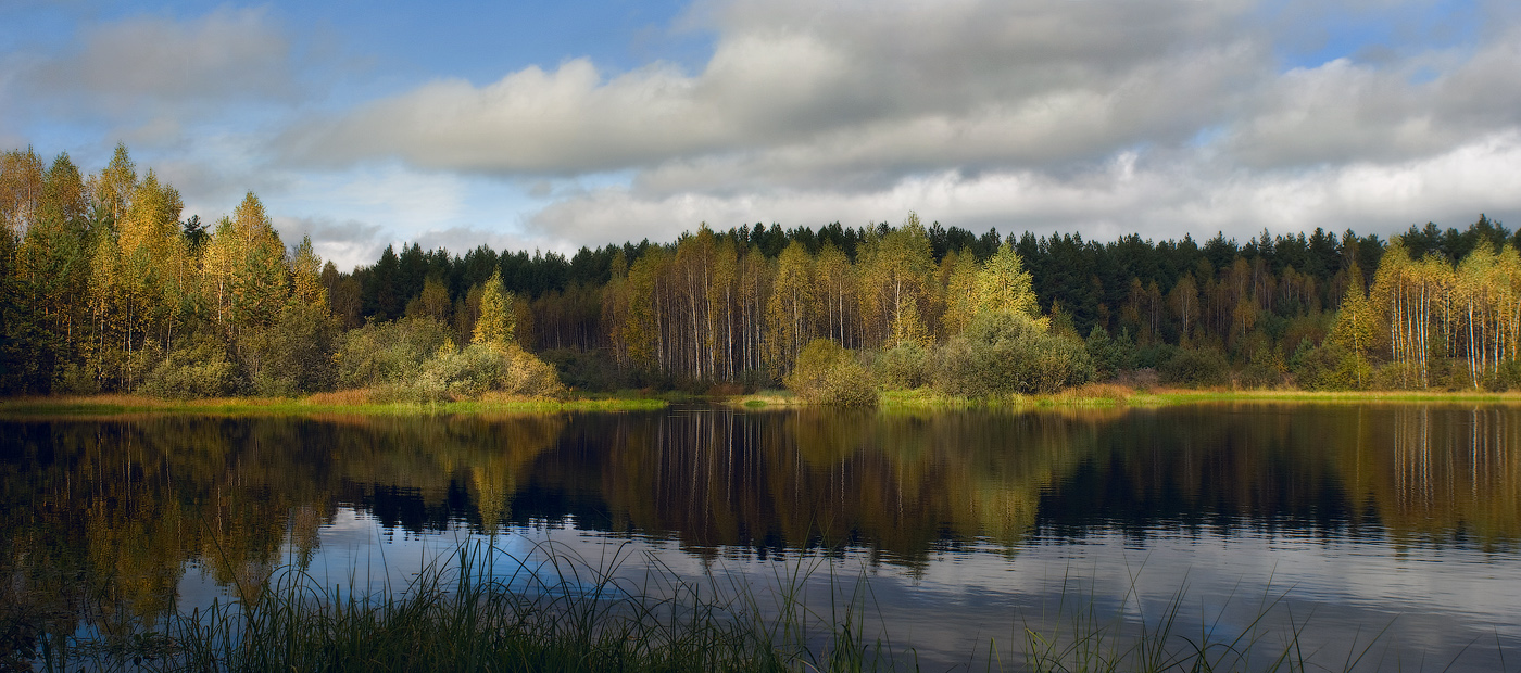 Черная Порза