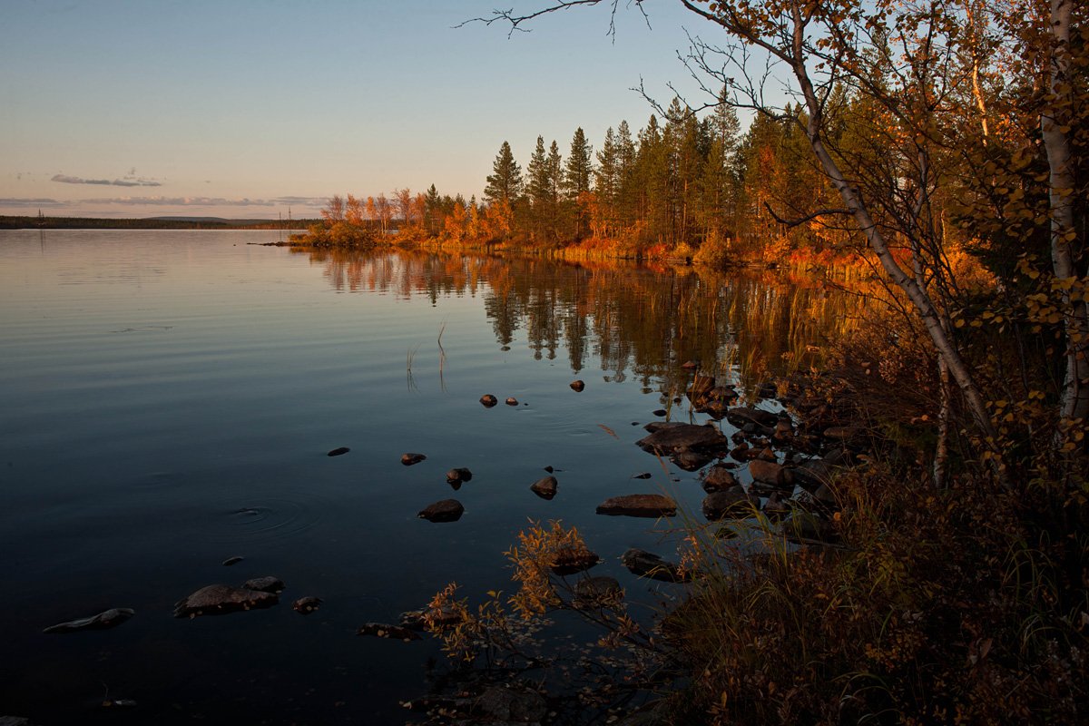 Cеверный пейзаж