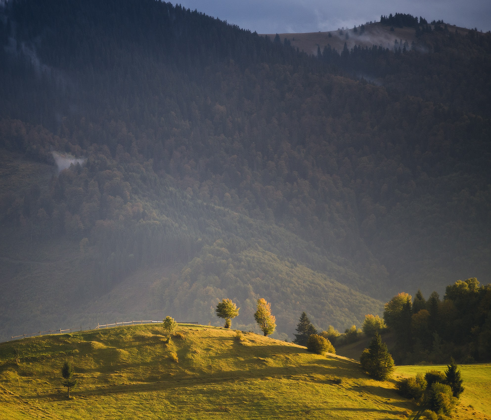 Вечером сентября