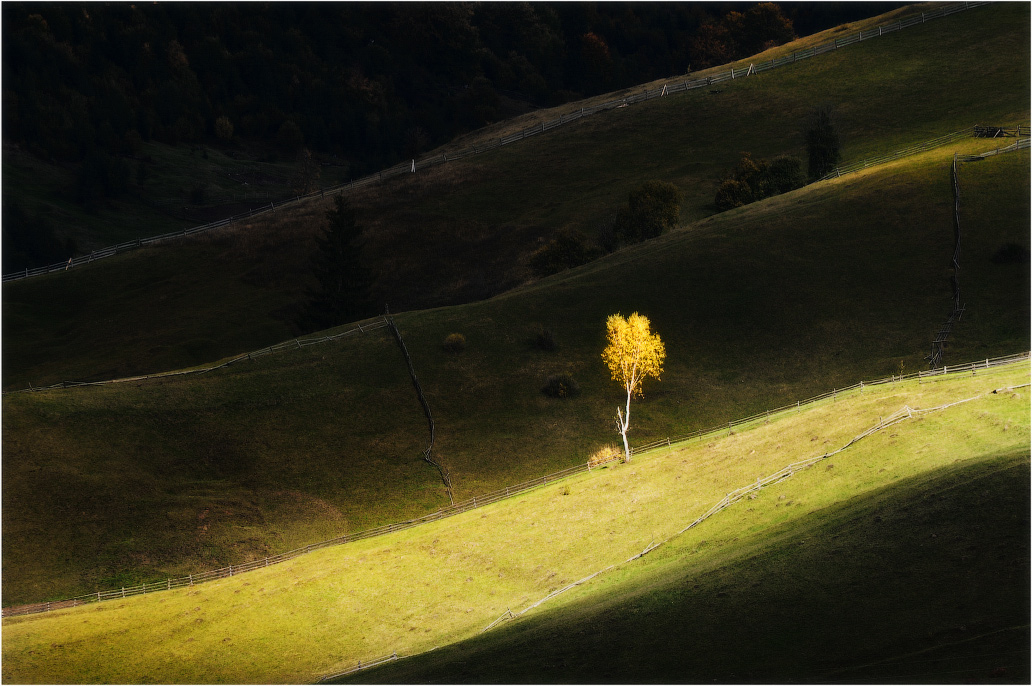 Осенняя рапсодия...