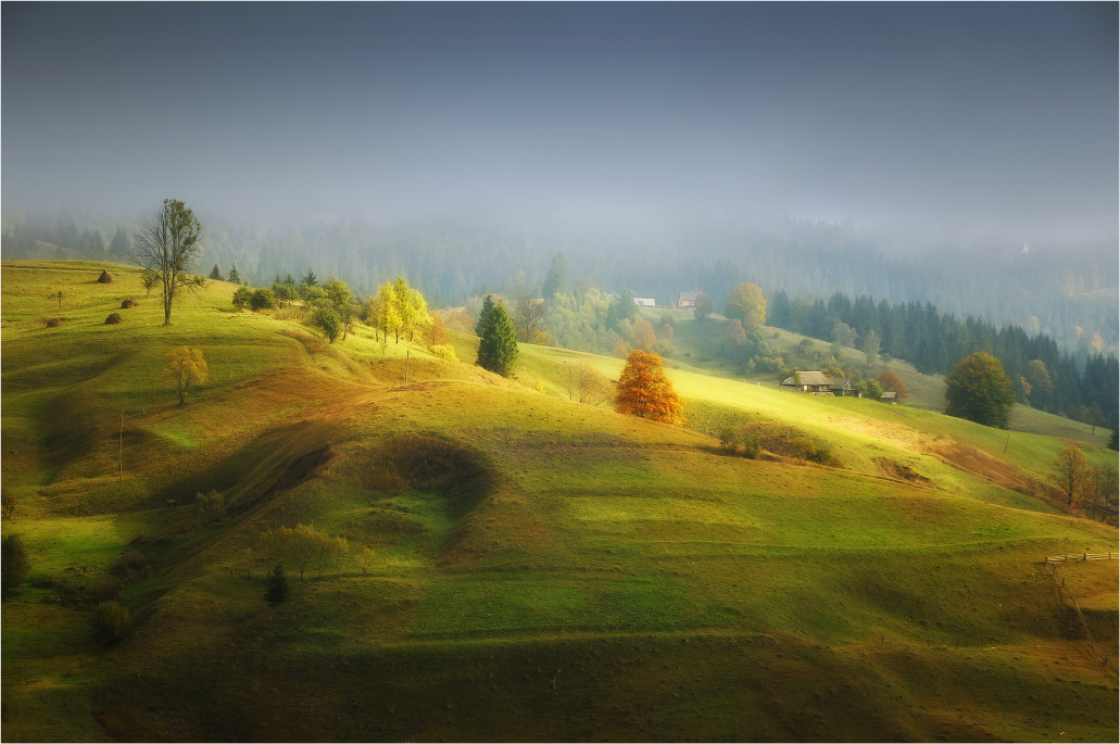 Золото на сером...