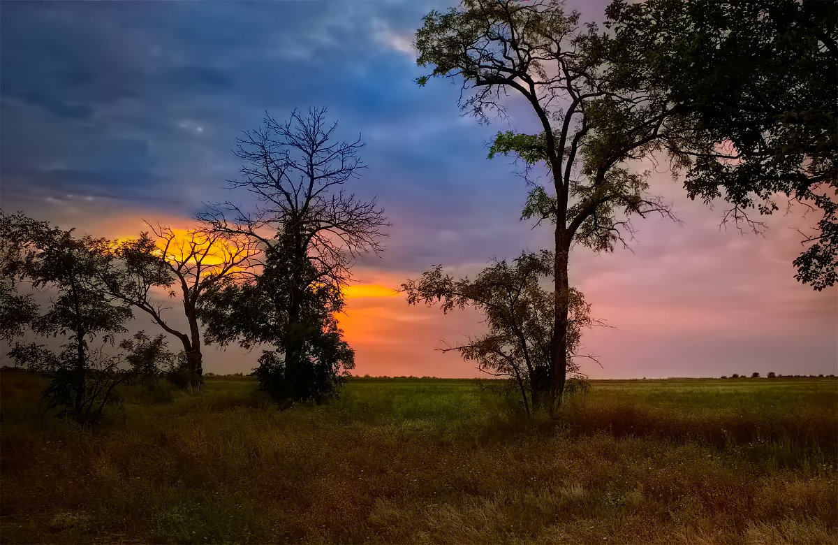 Украинские зарисовки