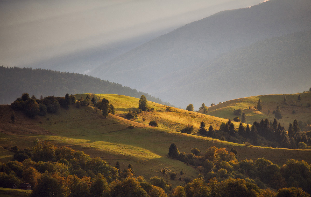 Вечерний свет