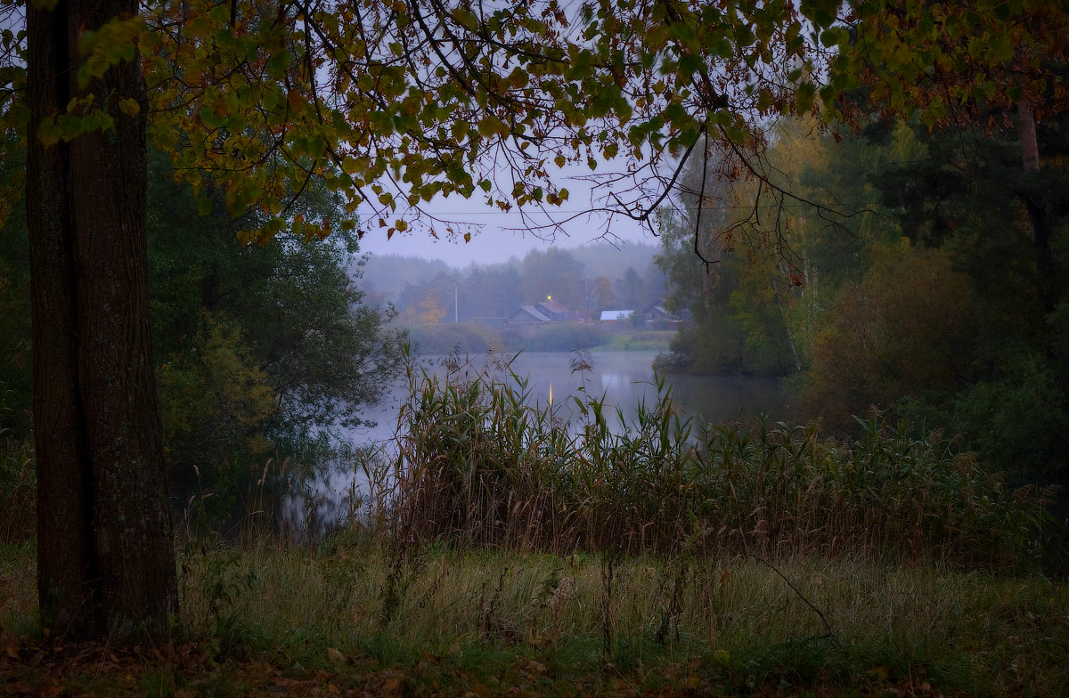 Пивоварово.Вечер