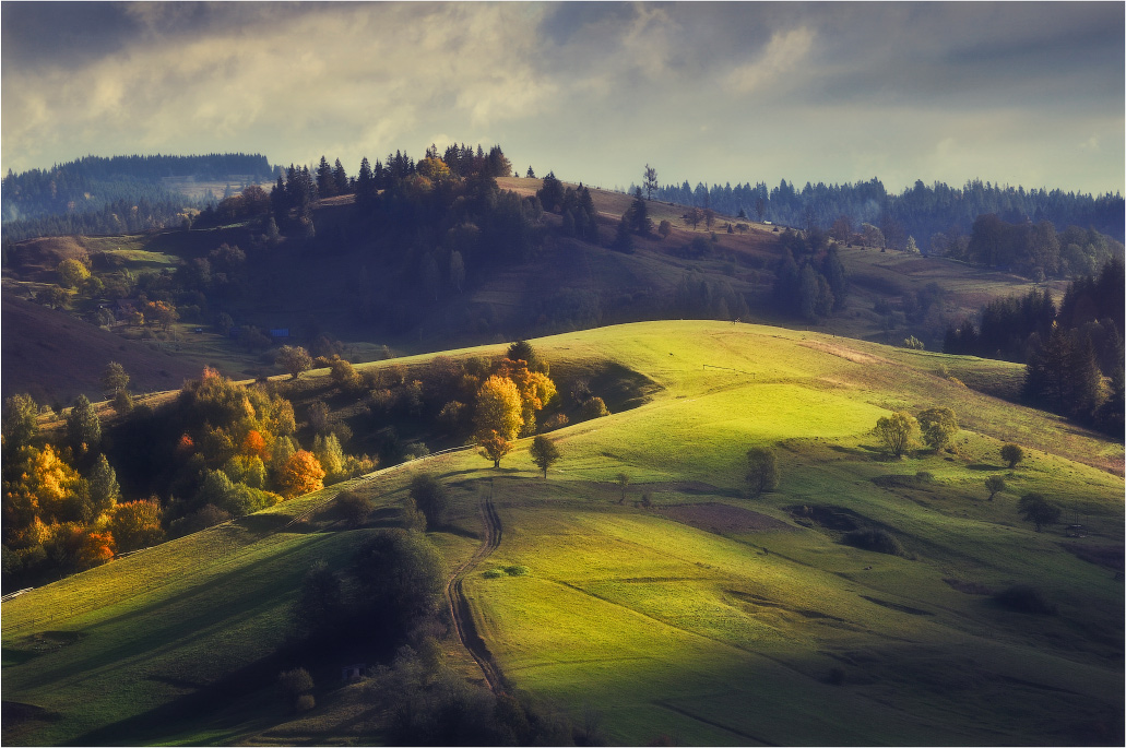 Золотые кисти...