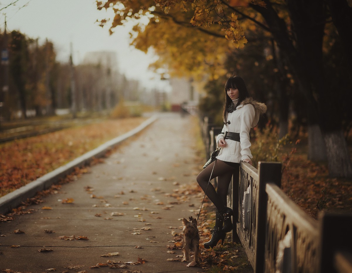 Осенний этюд