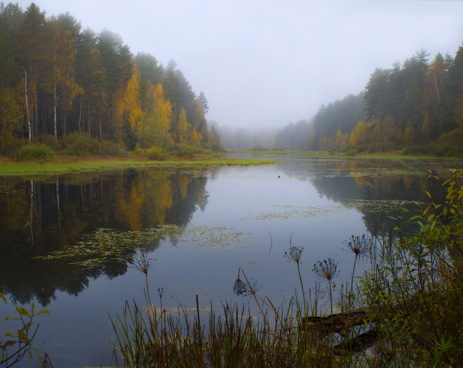 Осеннее утро