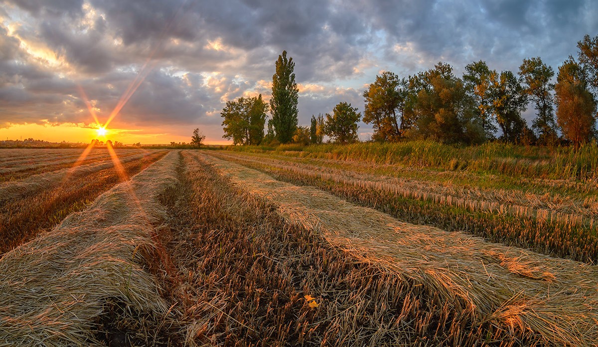 Вечерний свет