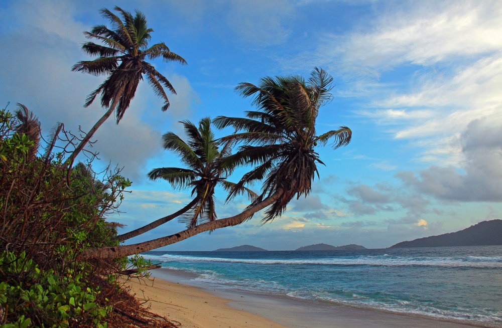 "Классика" жанра