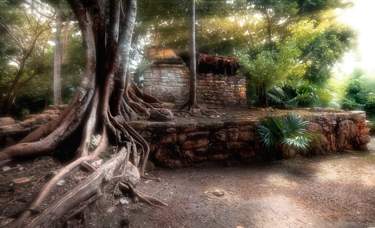 ....lacking of present in past