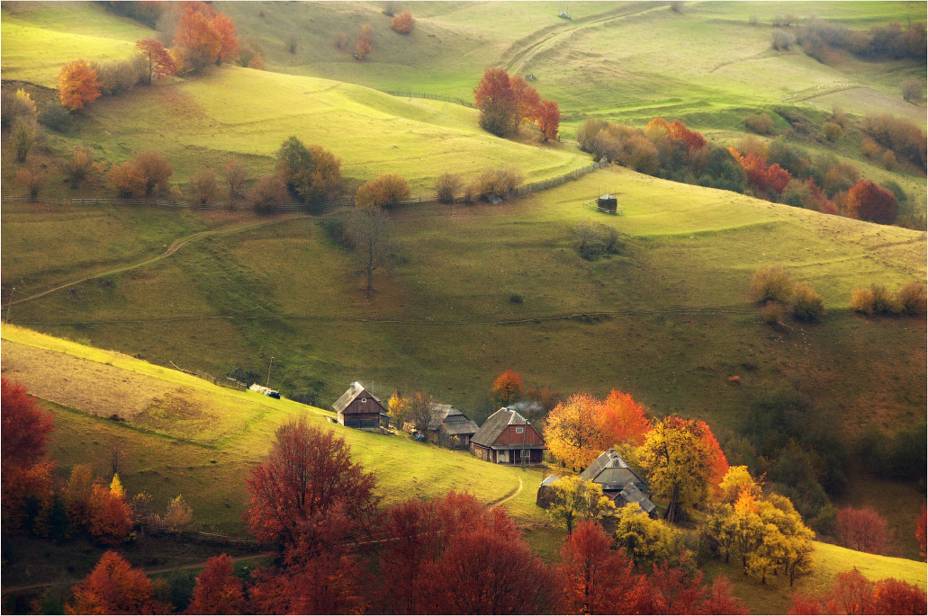 Осенние пасторали...