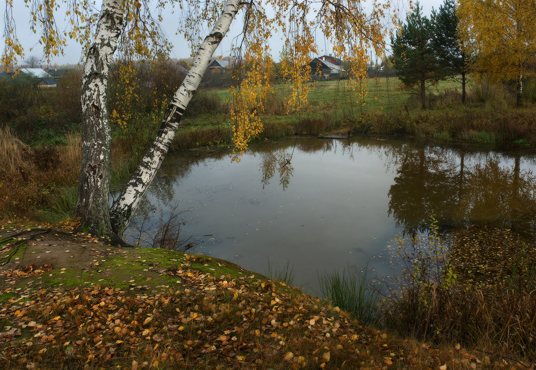 И карасик уже не ловится