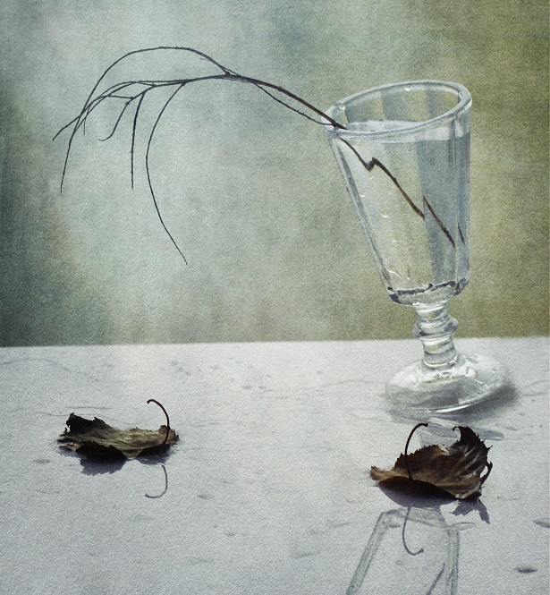 "Не жалею, не зову, не плачу..."