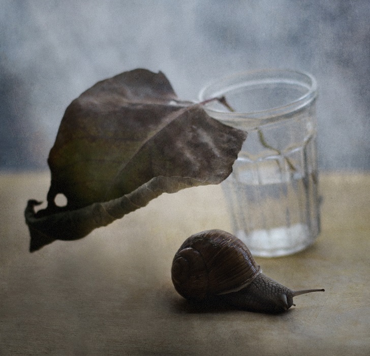 Чур, я в домике!