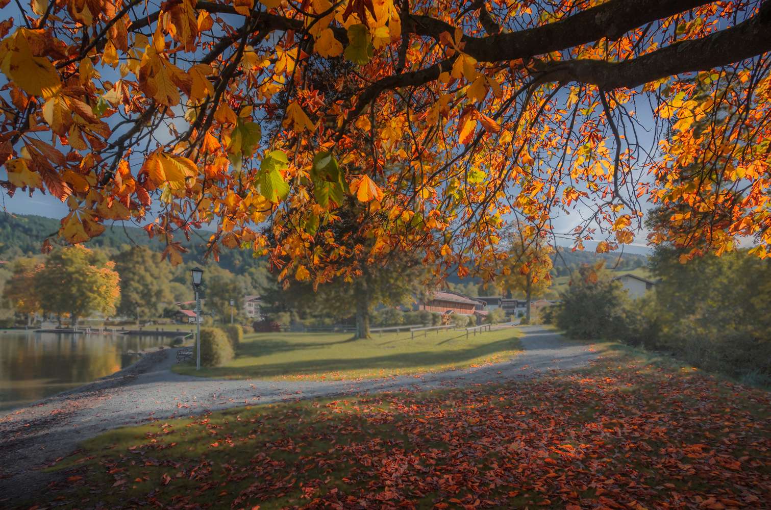 Осень Девчонка Рыжая