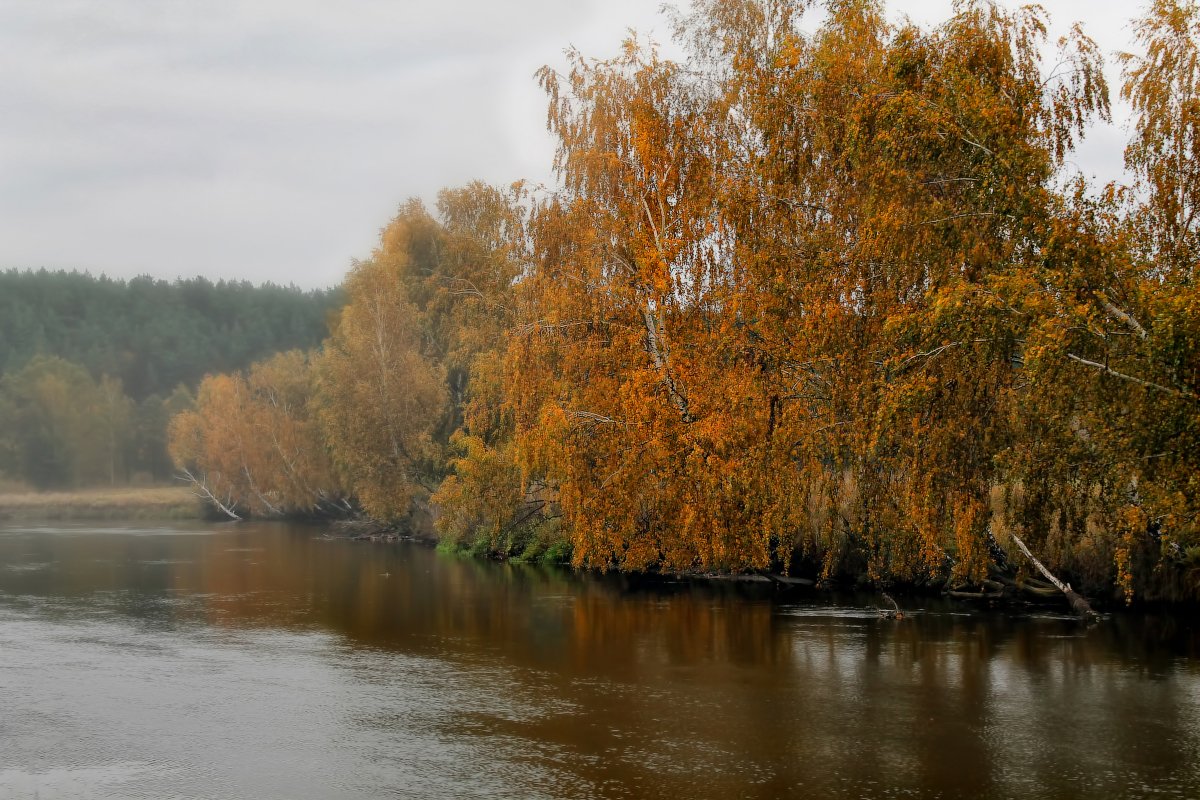 Этюд октября