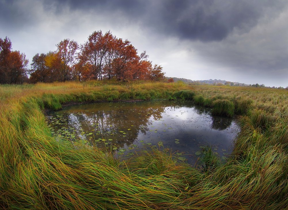 полесские заметки