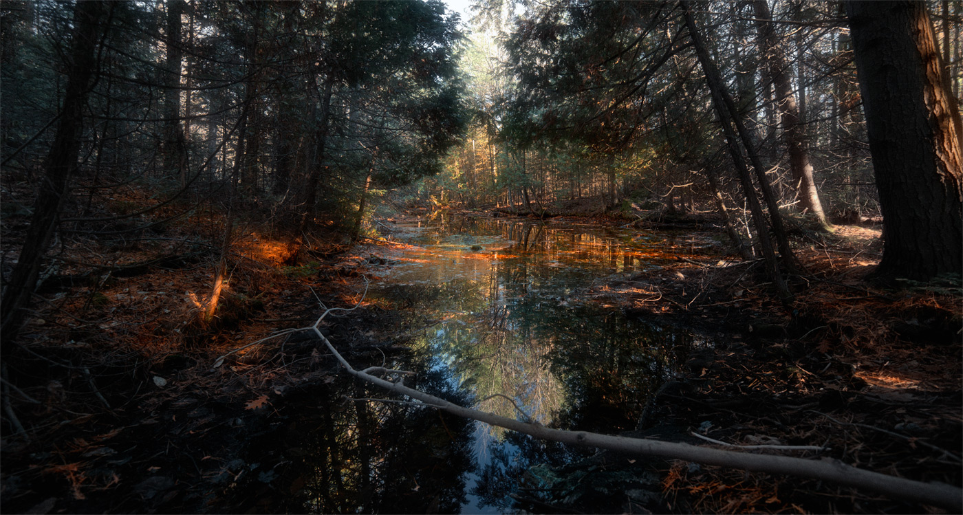 two sides of equality