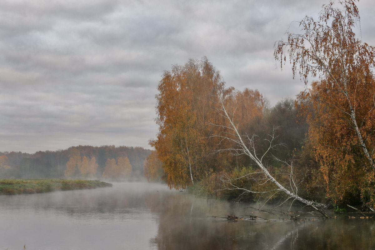Утро Октября