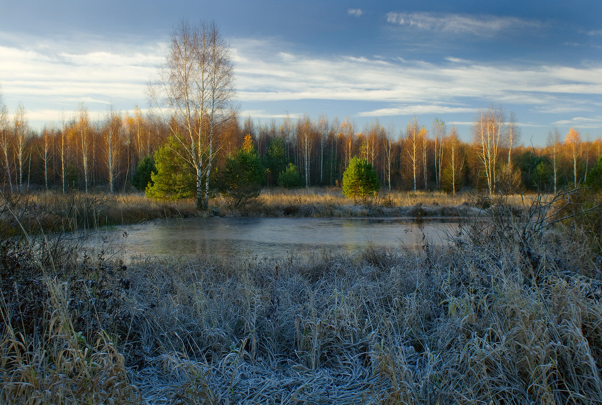 Морозная свежесть
