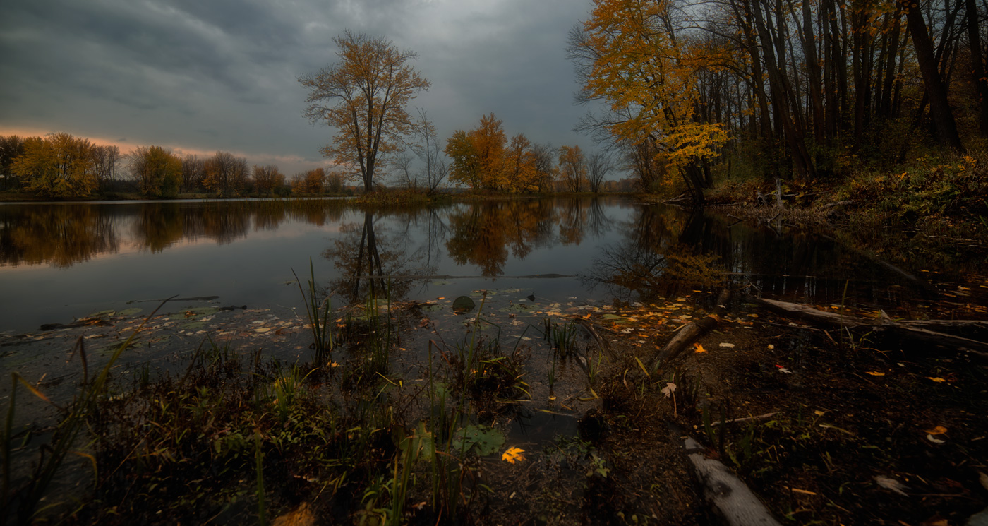 Transparent Autumn (@ Petrie isl.)