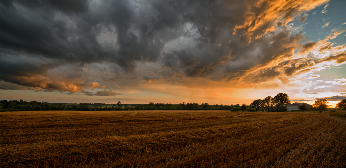 There's peanut dust and corn husks