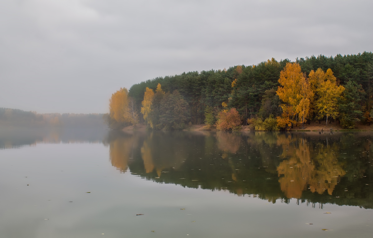 На берегу Вячи