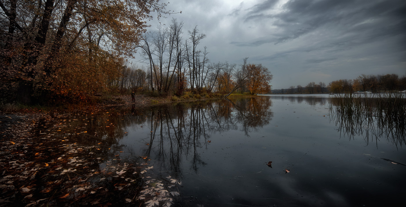 Wilted scenes for us who couldn't wait....