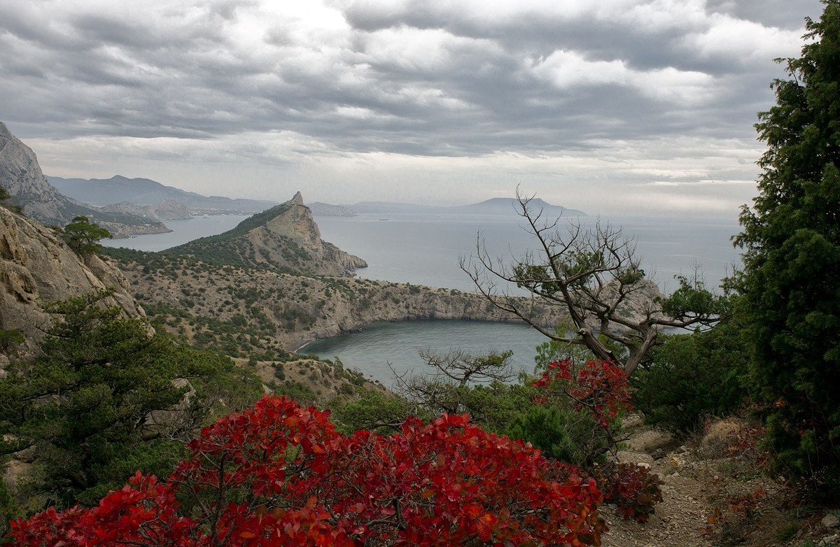 краски осени