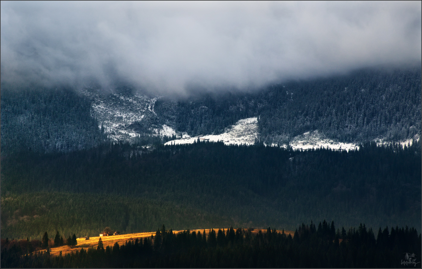 / Утренние контрасты /