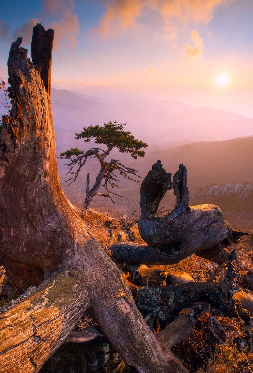 Возрождение