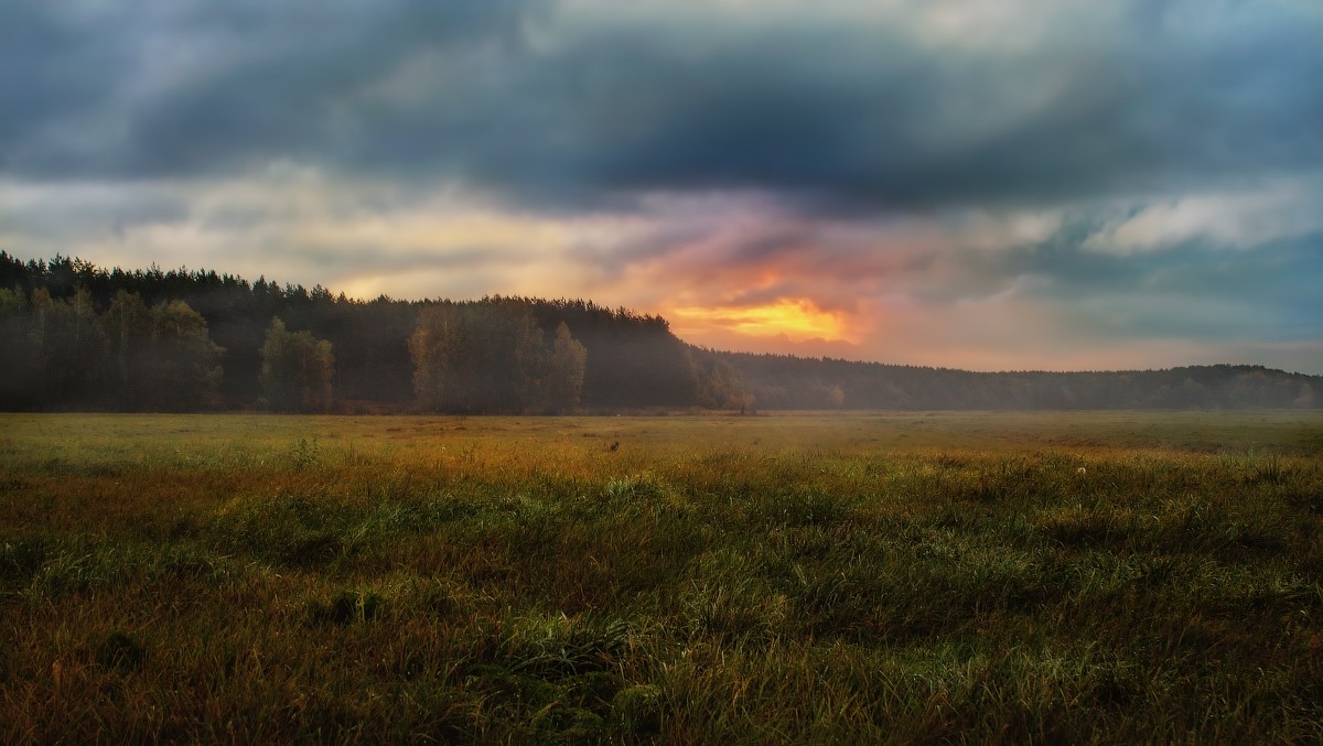 Сердитое утро октября!