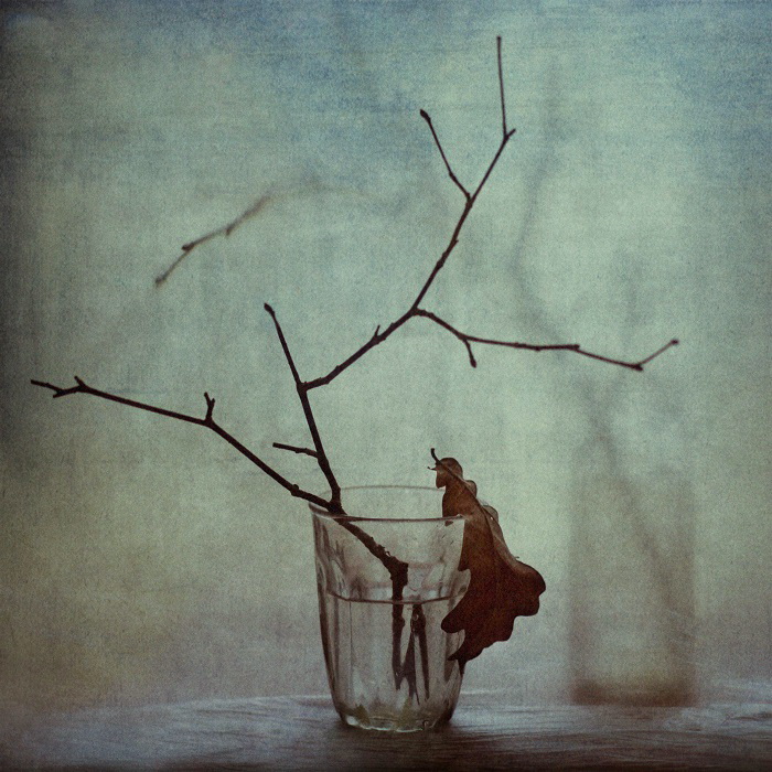 Заноябрило...