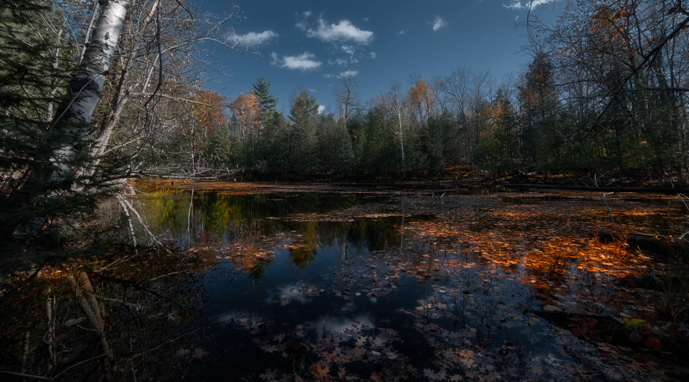 Transparent Autumn (Moriss Isl)