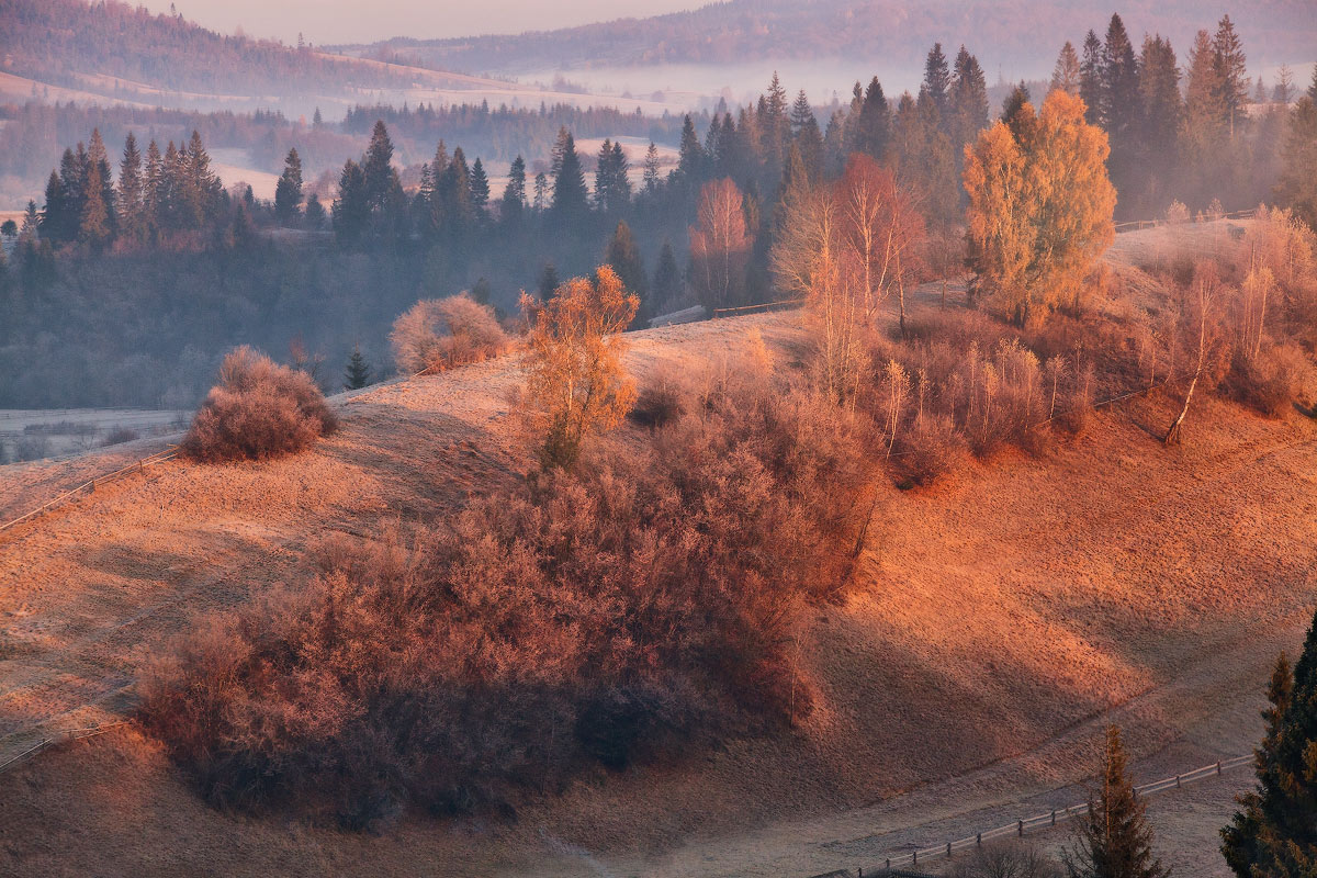Ноябрьская утренняя