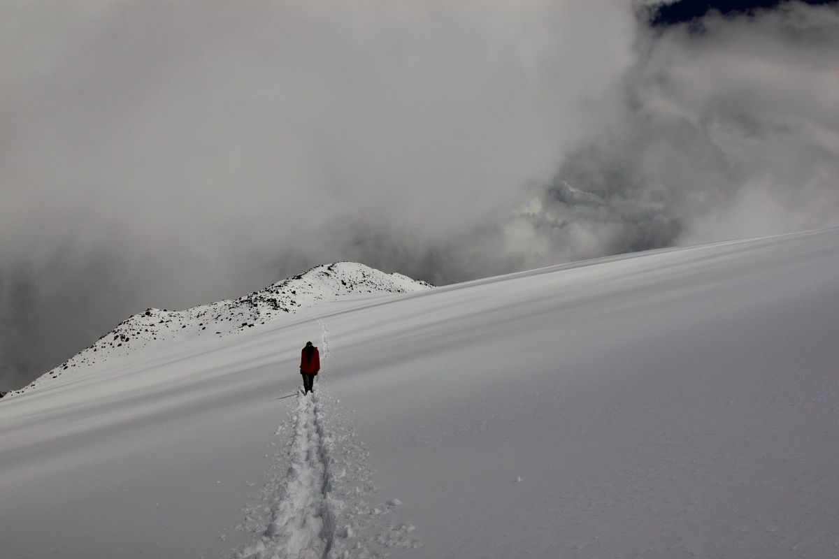 Свободными не рождаются...