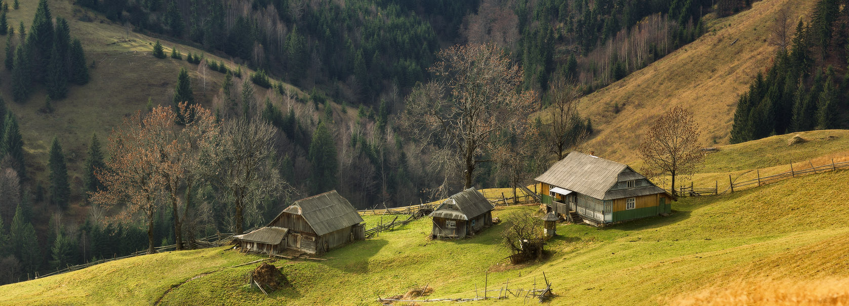 Жизнь над обрывом