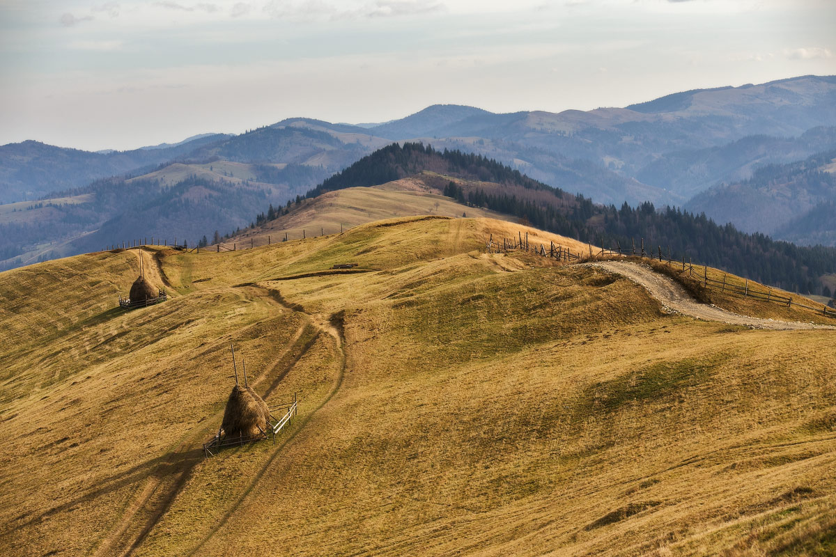 Ноябрьские зарисовки