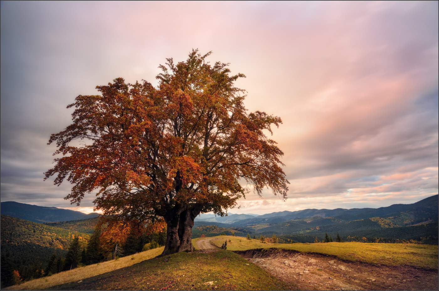 / На Кривопольском перевале .../