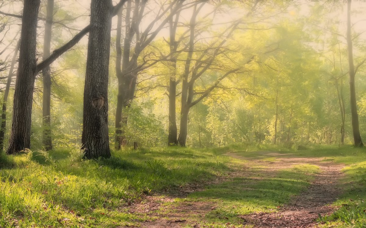 Утро майское