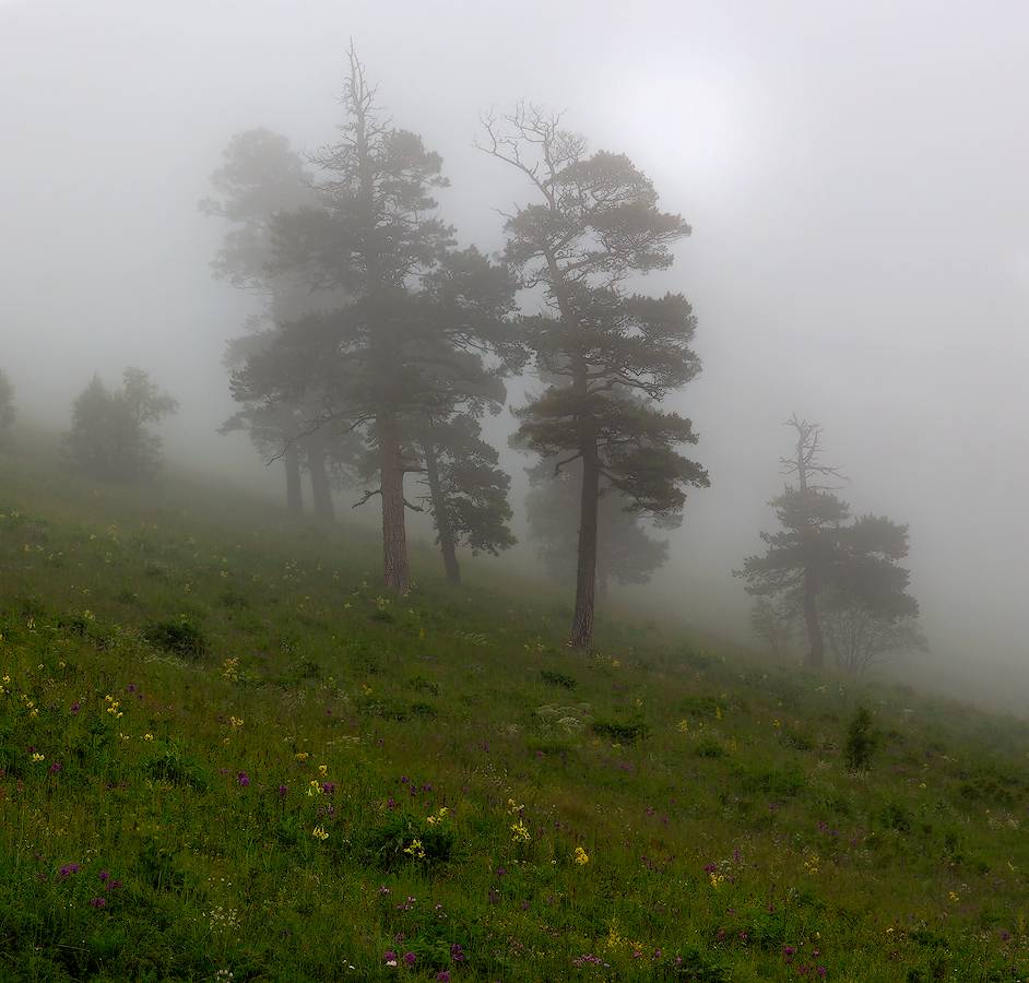 О прогулках в облаках 1