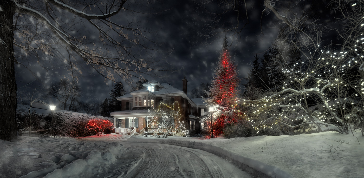 fluffy white dressed up for Xmas